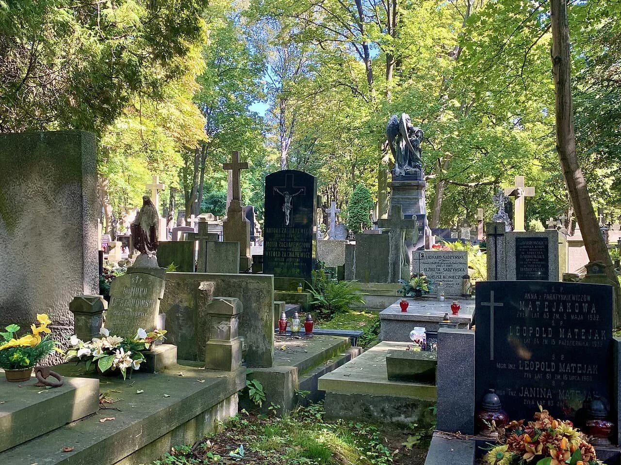 All Saints' Day in Poland: What Happens on 1 November