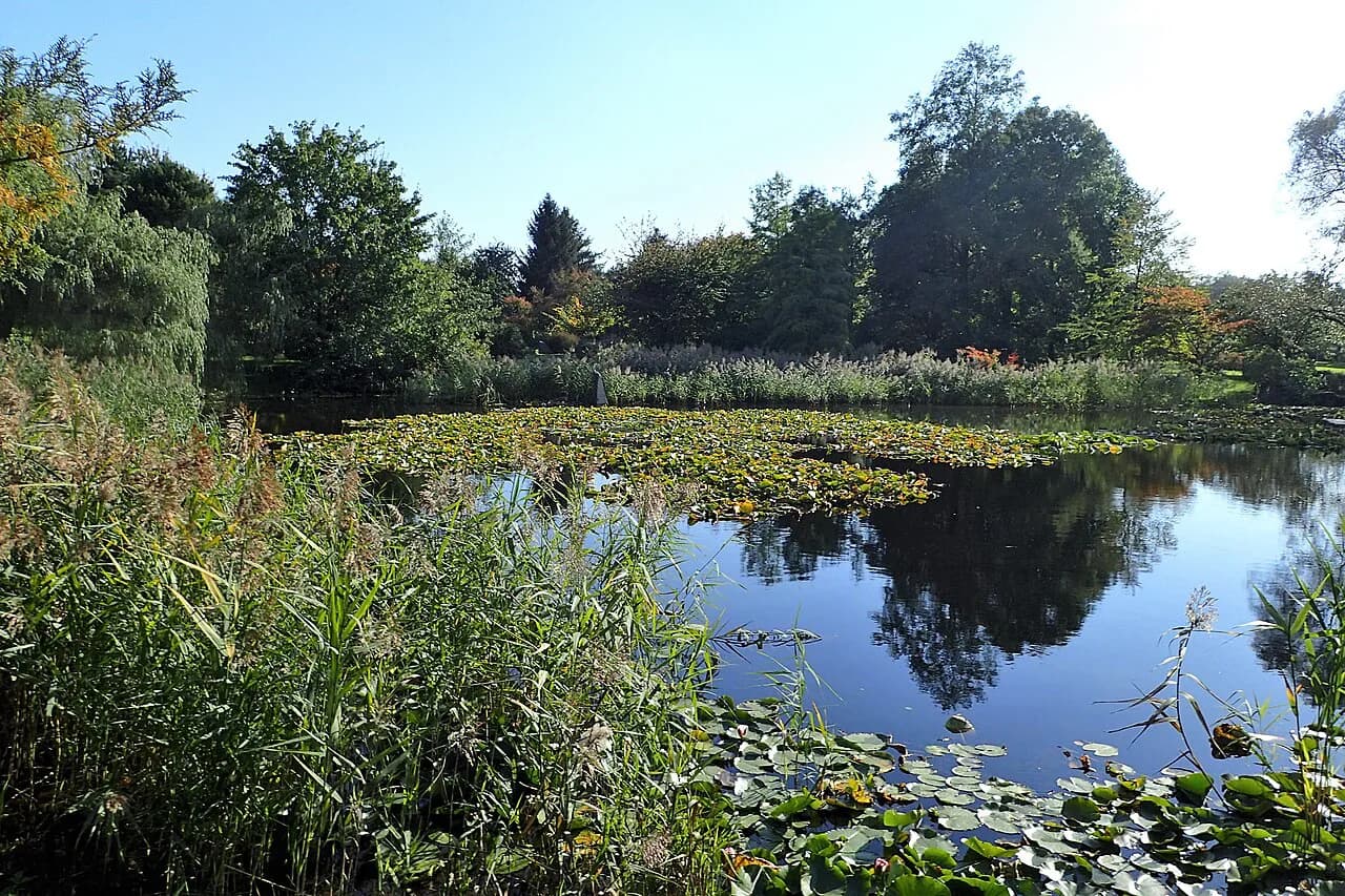 Łódź Botanical Garden: Tickets, Opening Hours and What to See