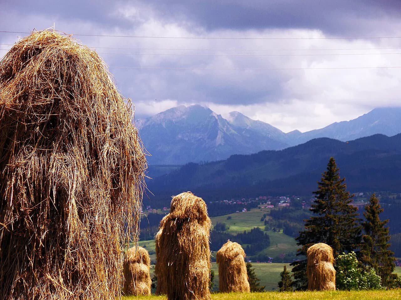 Is Zakopane Expensive? What a Trip Costs in Złoty