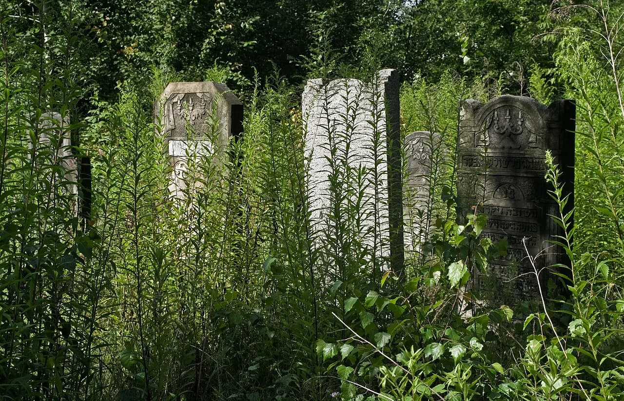 Jewish Cemetery in Łódź: Visiting Guide and What to See