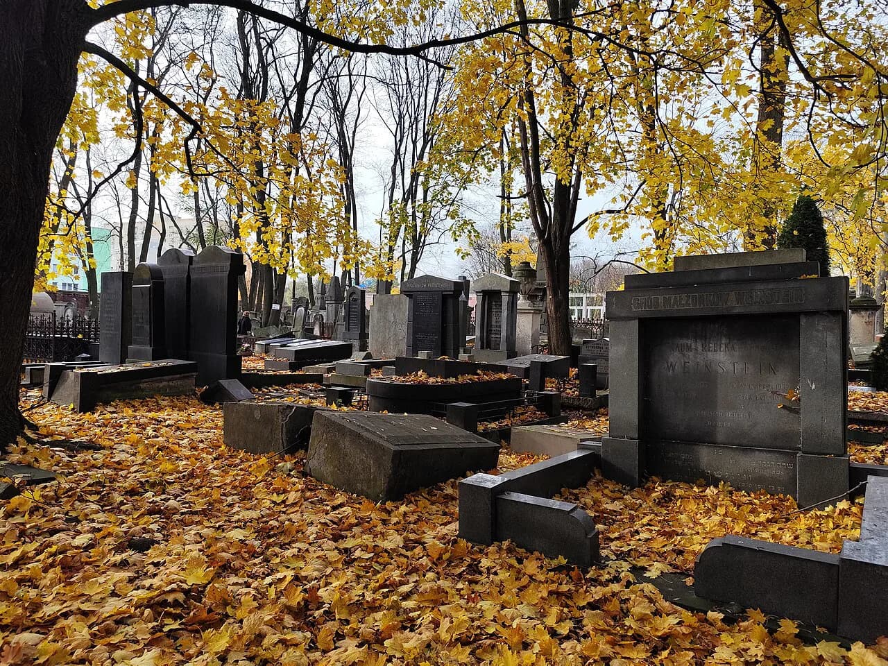 Jewish Cemetery Warsaw: Okopowa Street Visitor Guide