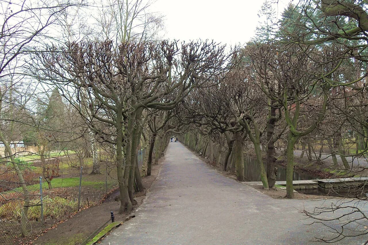 Parks in Gdańsk: Green Spaces Worth Visiting on a City Break