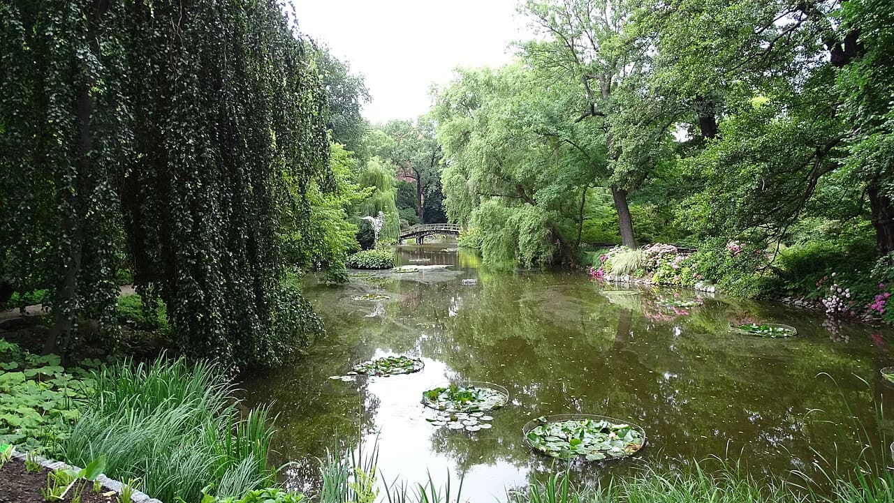Wrocław Botanical Garden: What to See and How Long to Allow