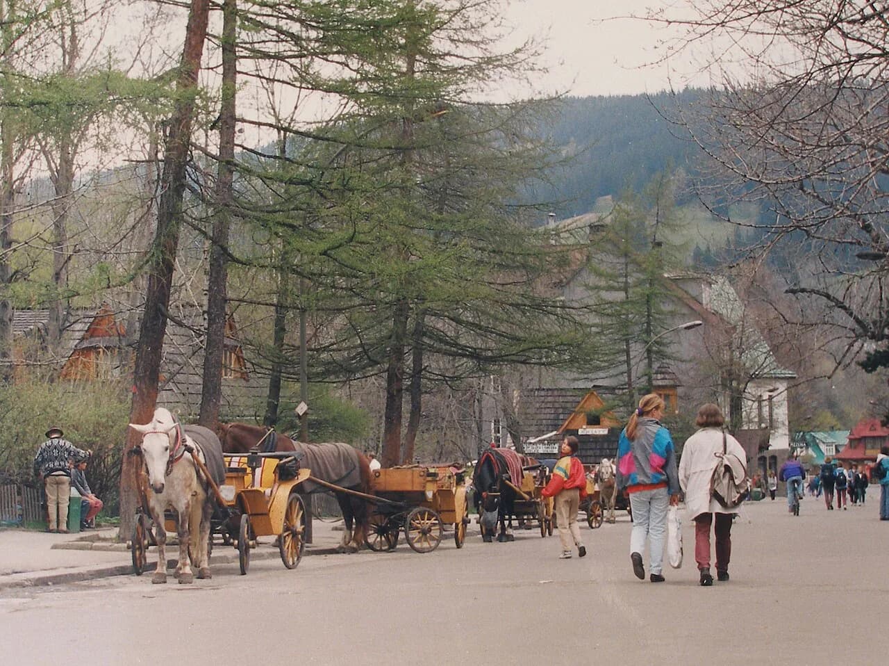 Shopping in Zakopane: Krupówki Crafts, Markets and Malls