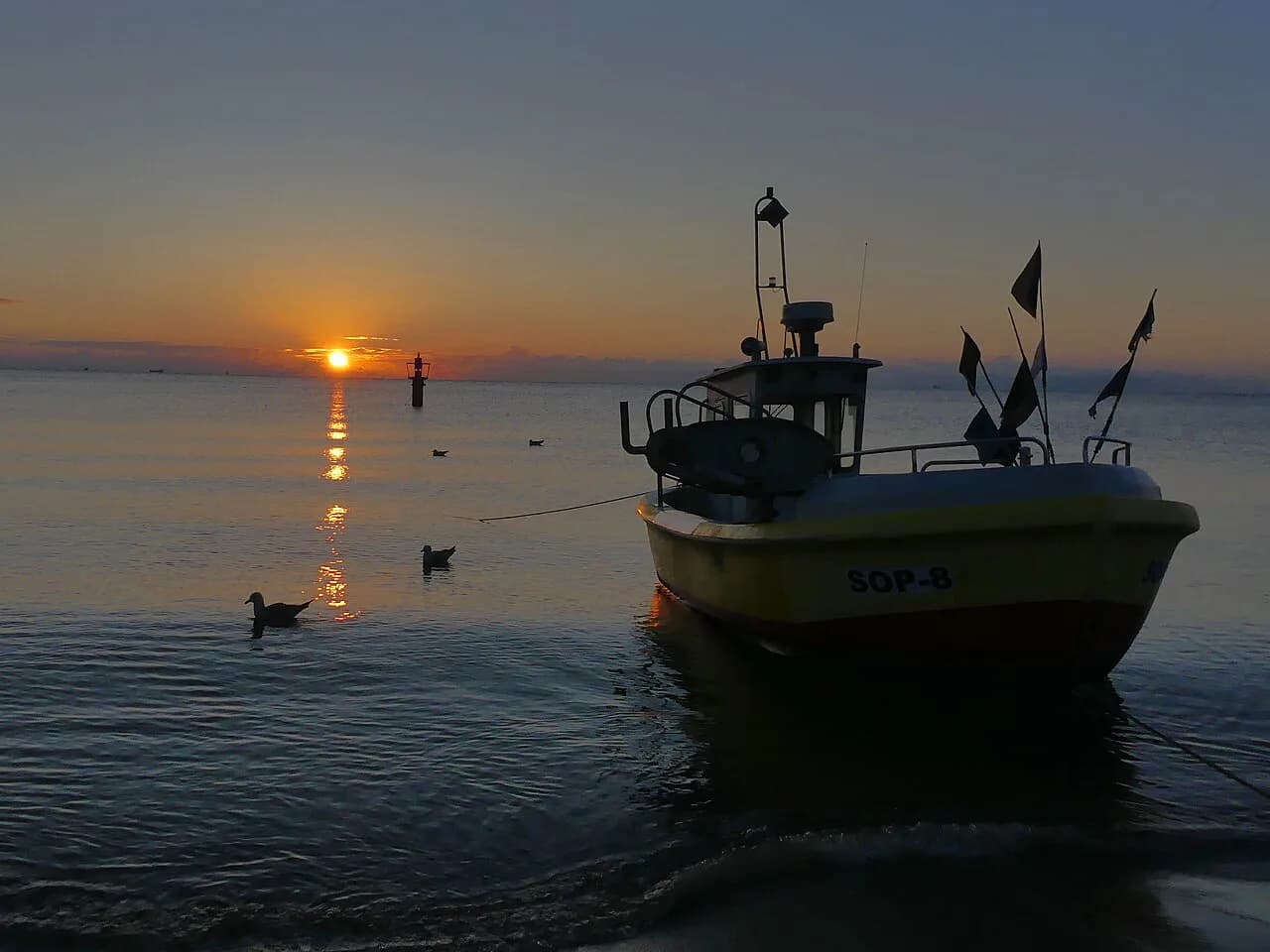 Sopot Food: What to Eat and Where to Try It