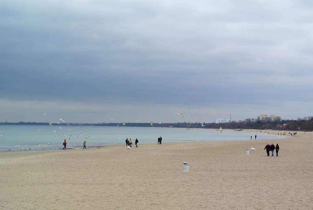 Sopot Festival: What It Is and How to Plan Around It