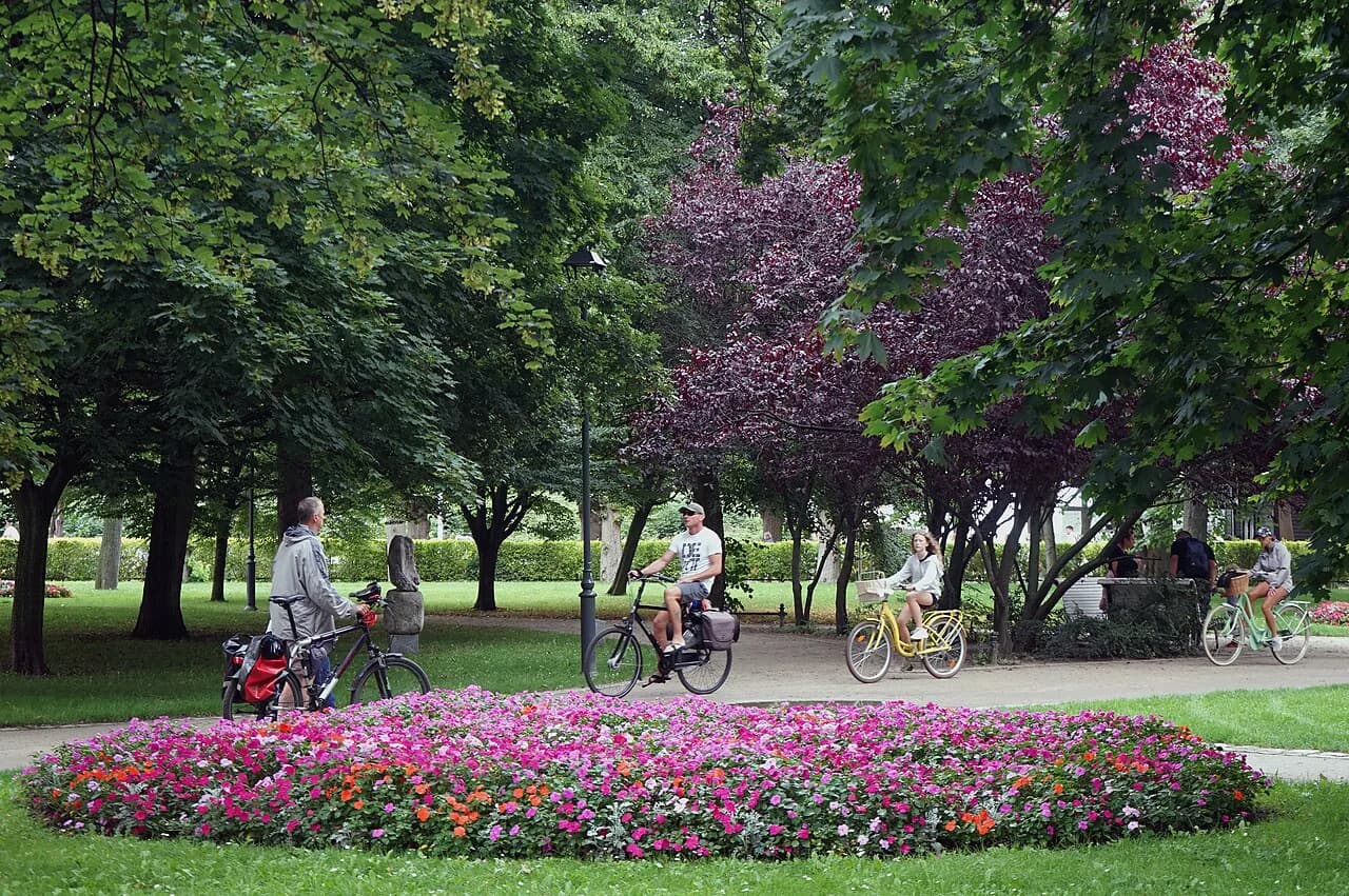 Parks in Sopot: Green Spaces and How to Combine Them