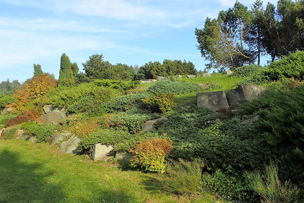 The alpine garden in the Botanical Garden in Łódź.