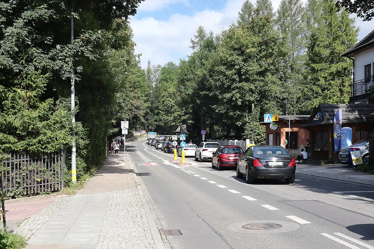 Tree-lined Droga na Bystre in Zakopane.
