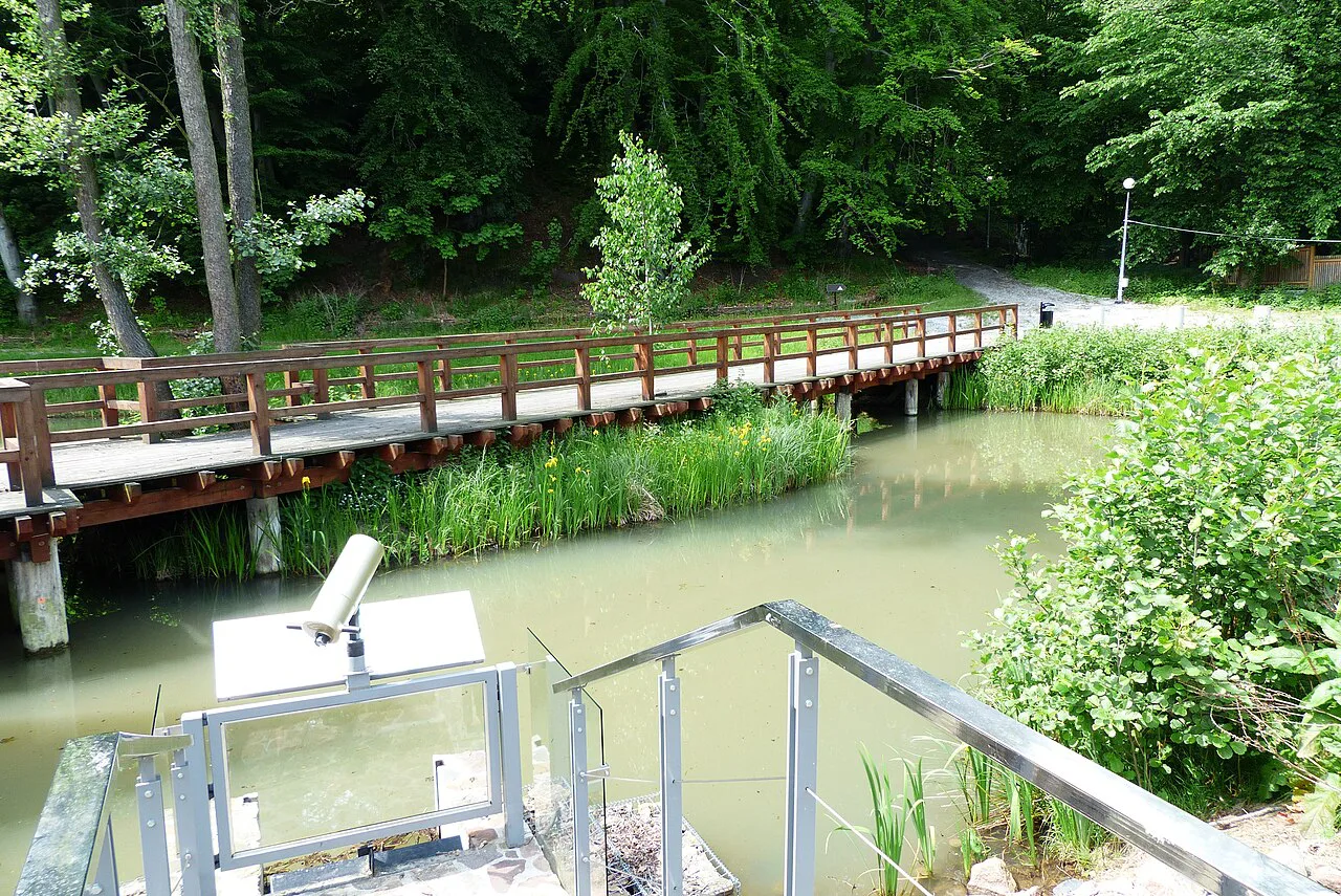 A wooden footbridge beside a pond in Dolny Sopot.