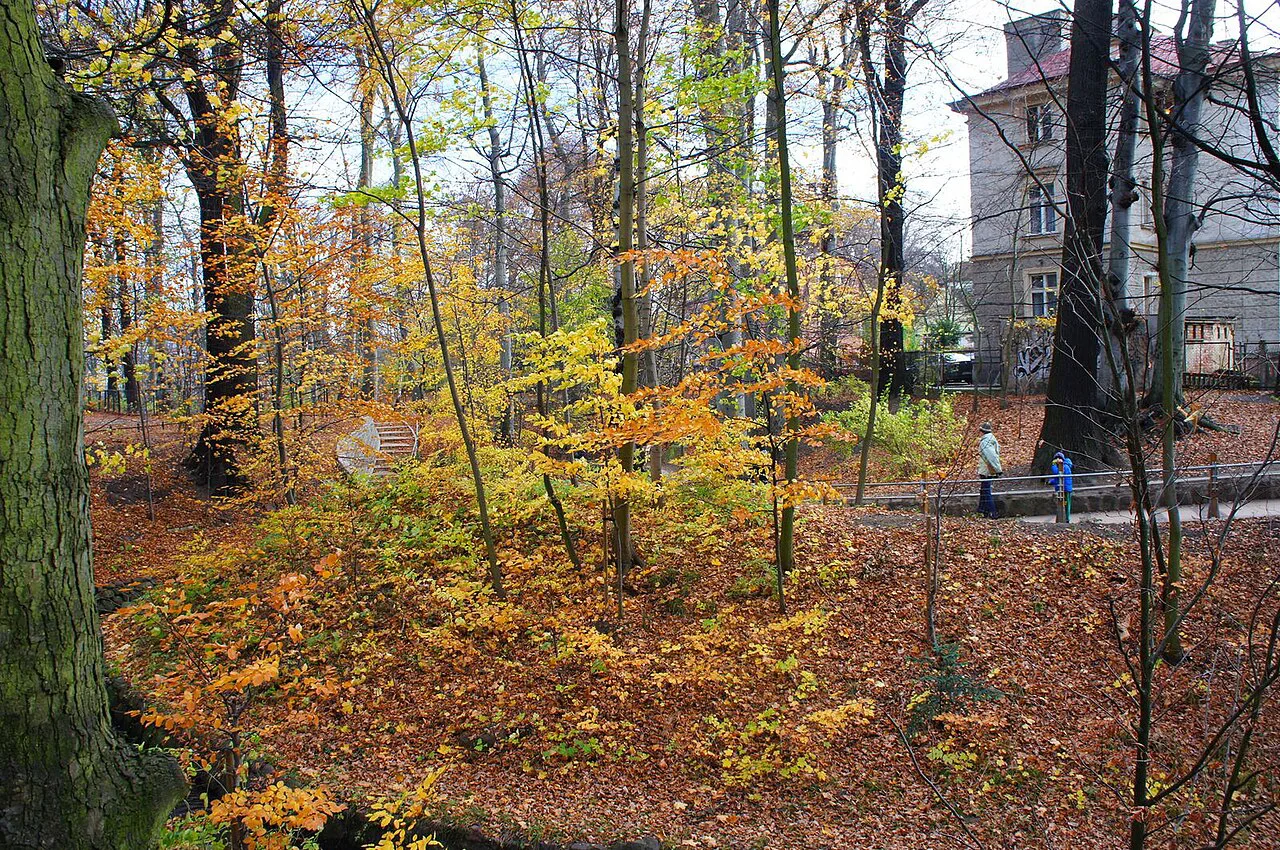 Autumn in the Eliza stream gorge in Dolny Sopot.