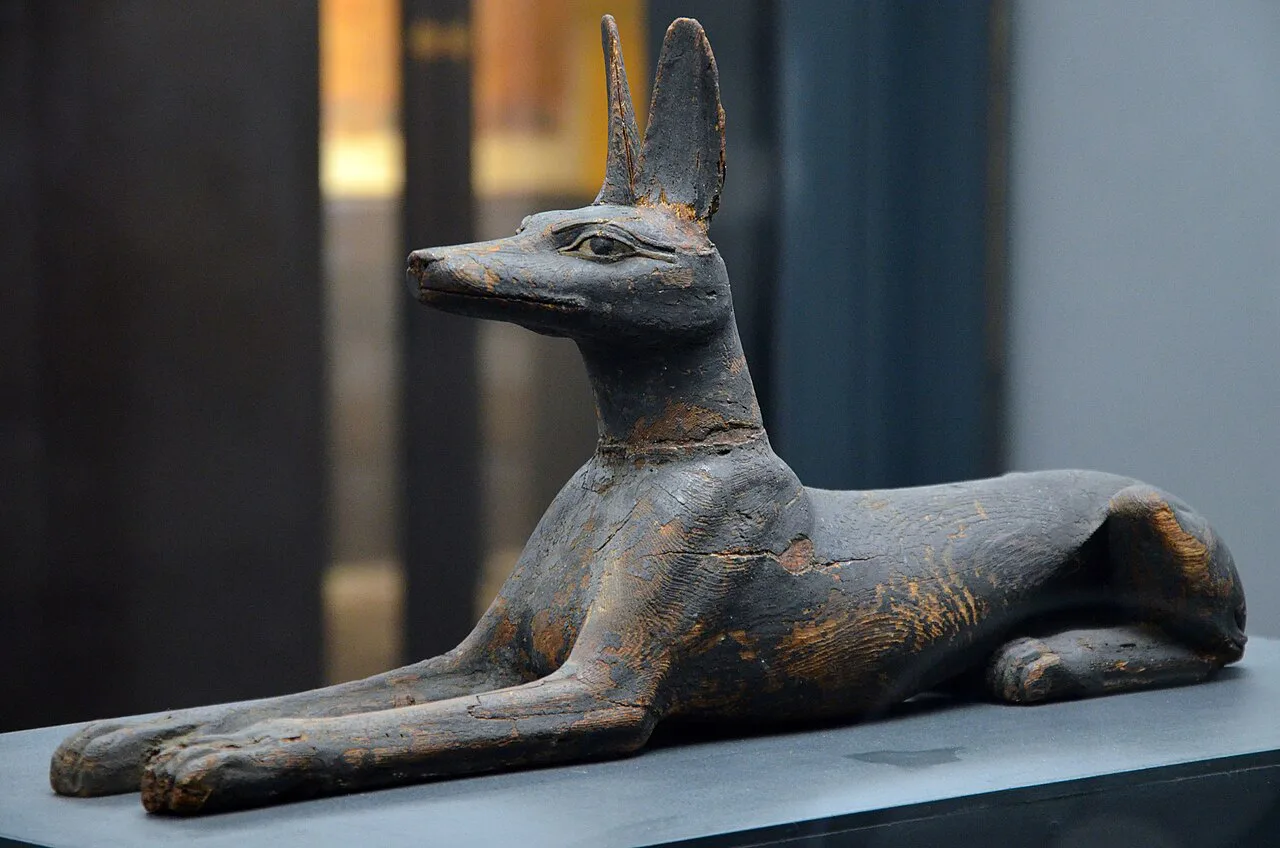 A statue of Anubis in the Archaeological Museum in Poznań.