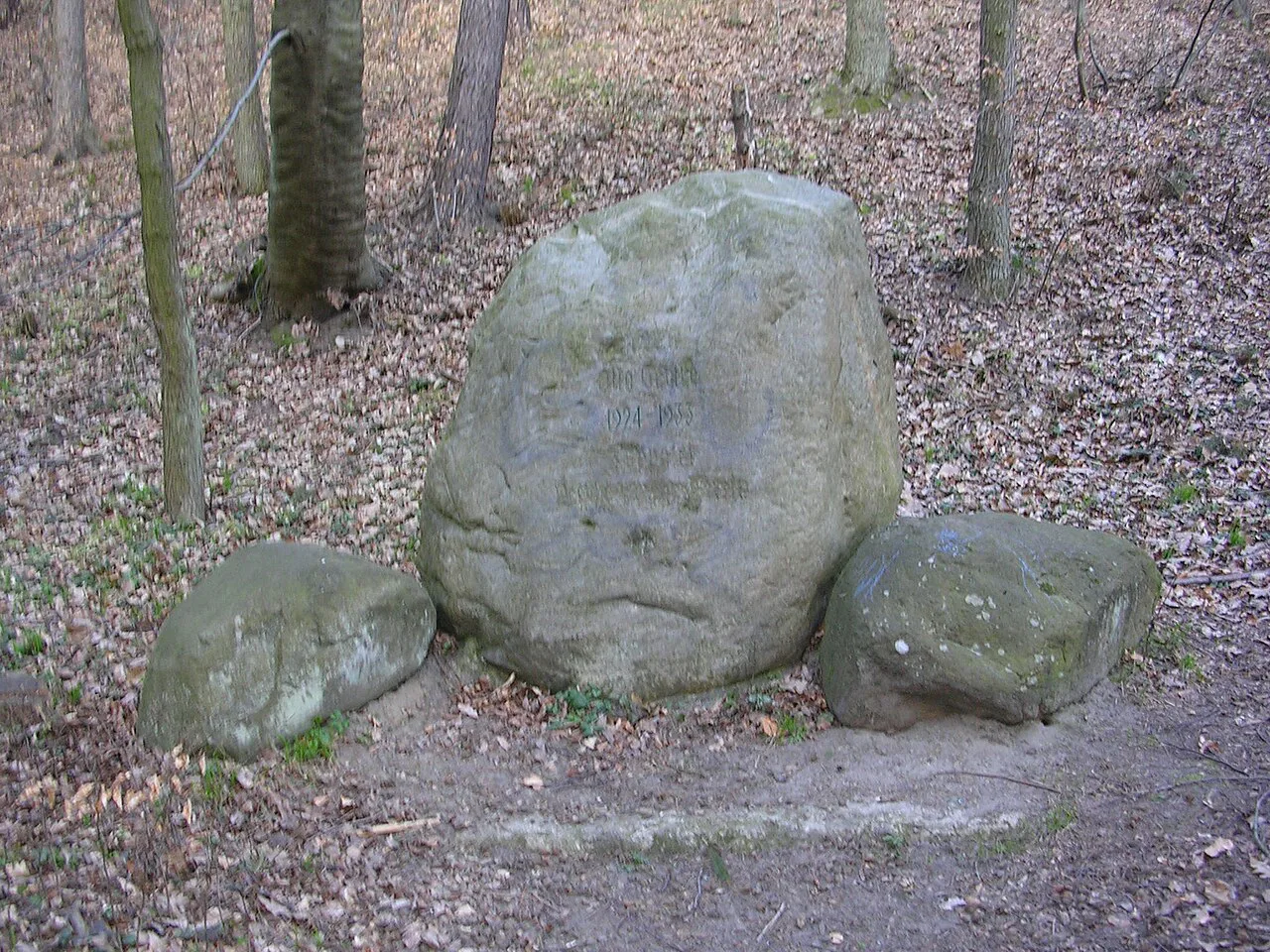 A boulder in the Tricity Landscape Park on the edge of Górny Sopot.