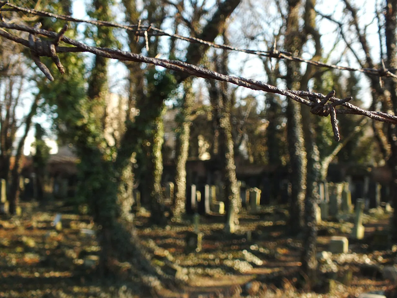 Gravestones in the Jewish cemetery on Kozielska Street in Katowice, seen through a wire fence.