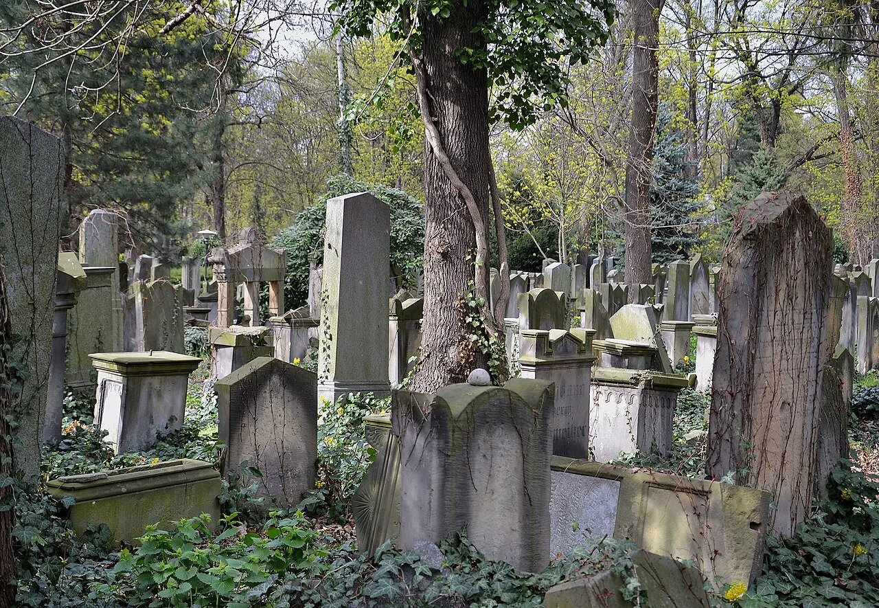 Weathered headstones in the Old Jewish Cemetery in Wrocław.