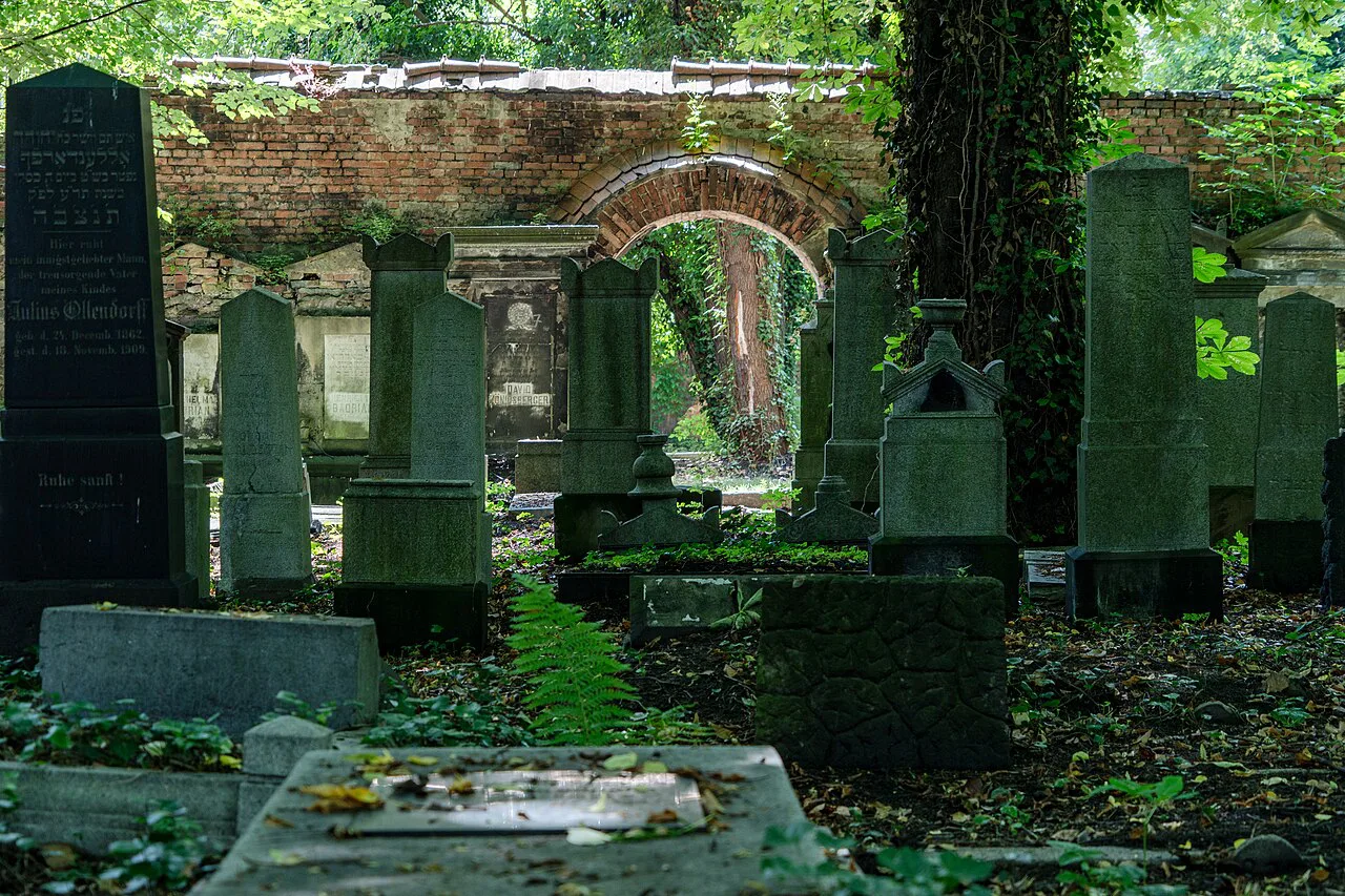 Overgrown gravestones at the Jewish Cemetery in Katowice.