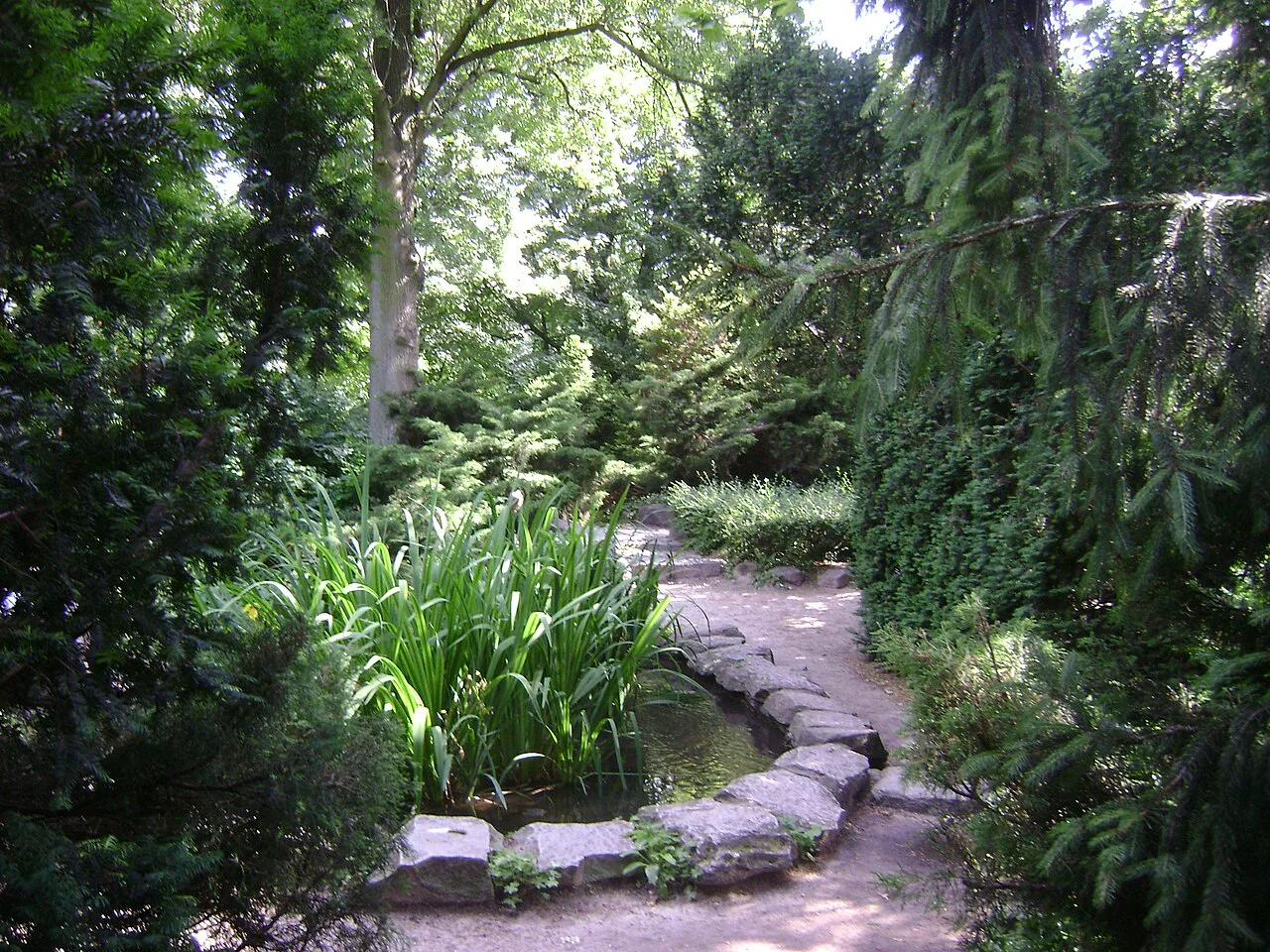 A garden path beside a pond in Łazienki Park in Warsaw.