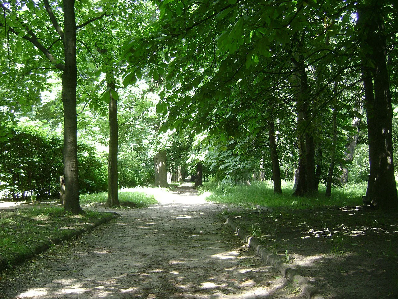 A tree-lined path in Łazienki Park in Warsaw.