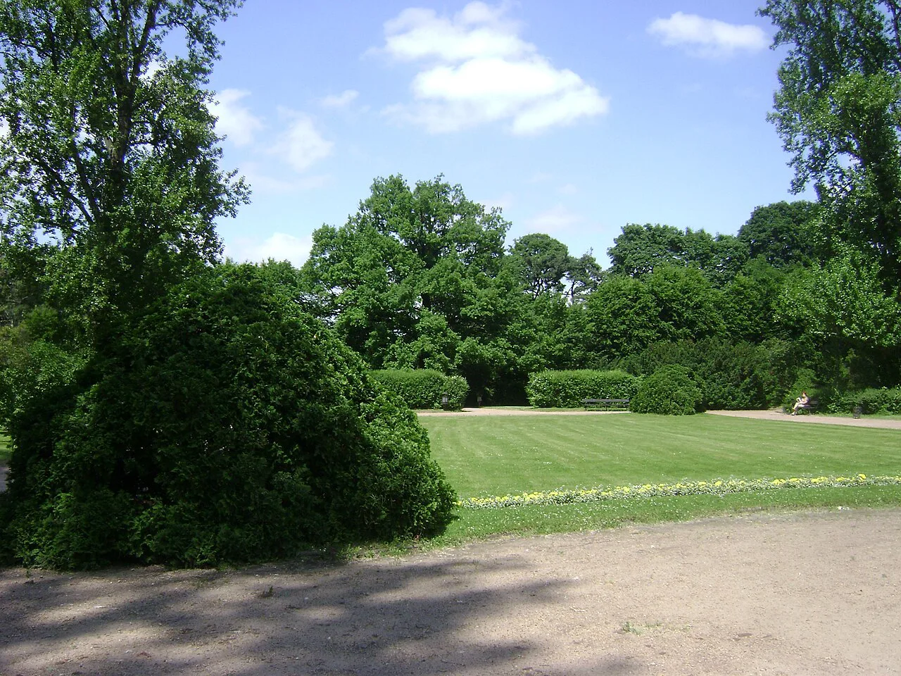 A lawn in Łazienki Park (Royal Baths Park) in Warsaw.