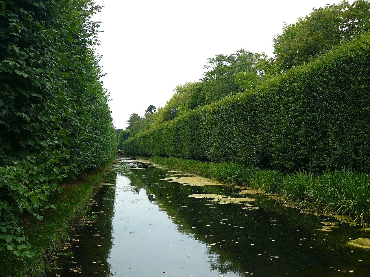 Hedge-lined canal in Oliwa Park, Gdańsk.
