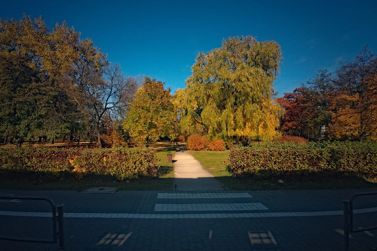 Autumn colours in Budnioka Park, Katowice.