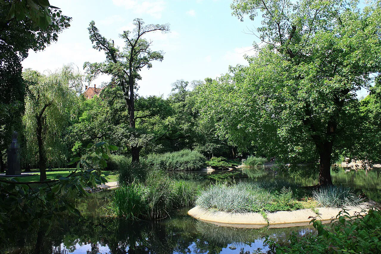 A pond in Wilson Park in Poznań.