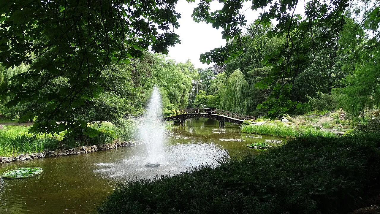 Fountain and bridge in Wrocław's Botanical Garden.