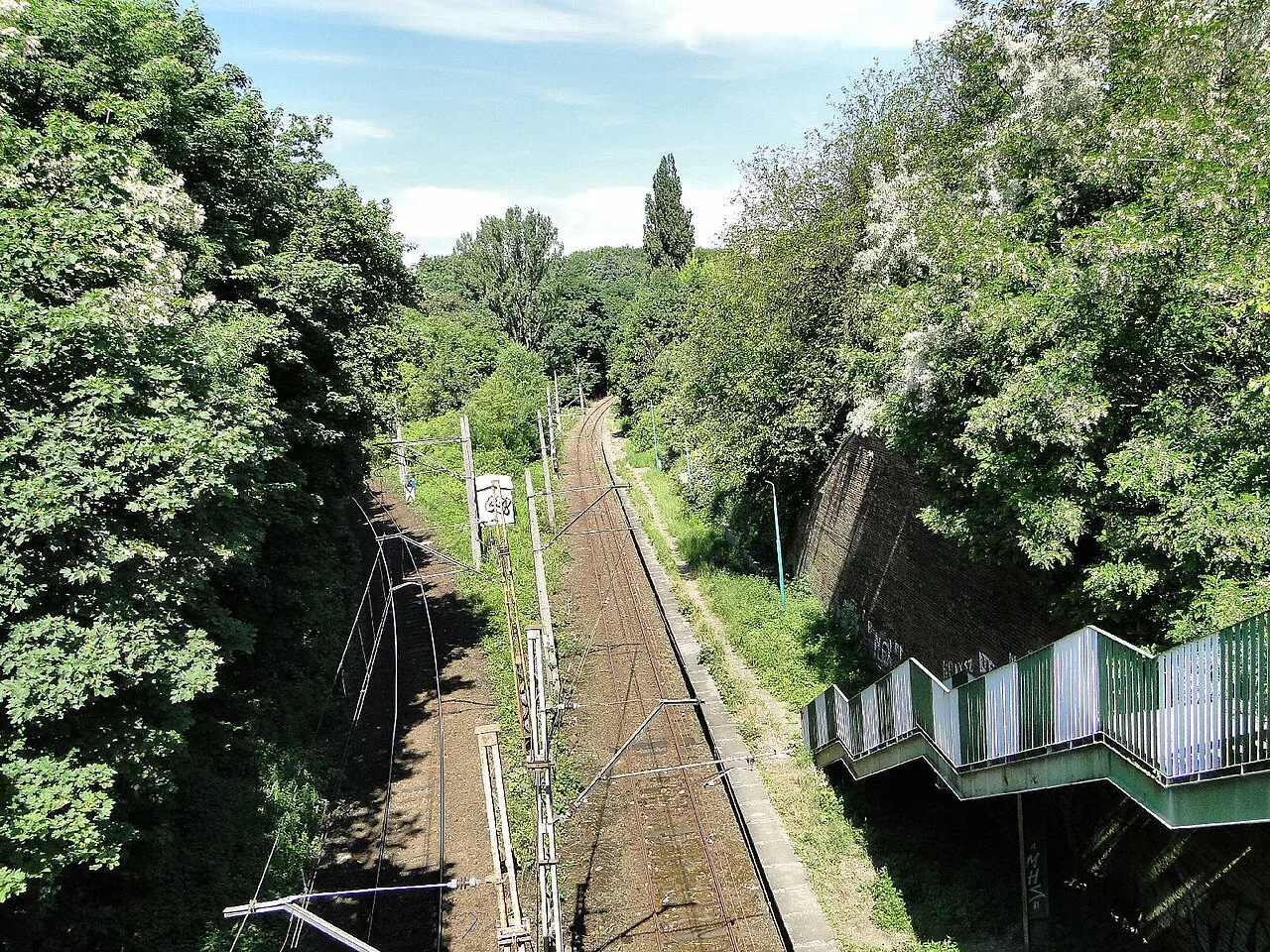 The Szczecin Pomorzany railway stop in a wooded cutting.