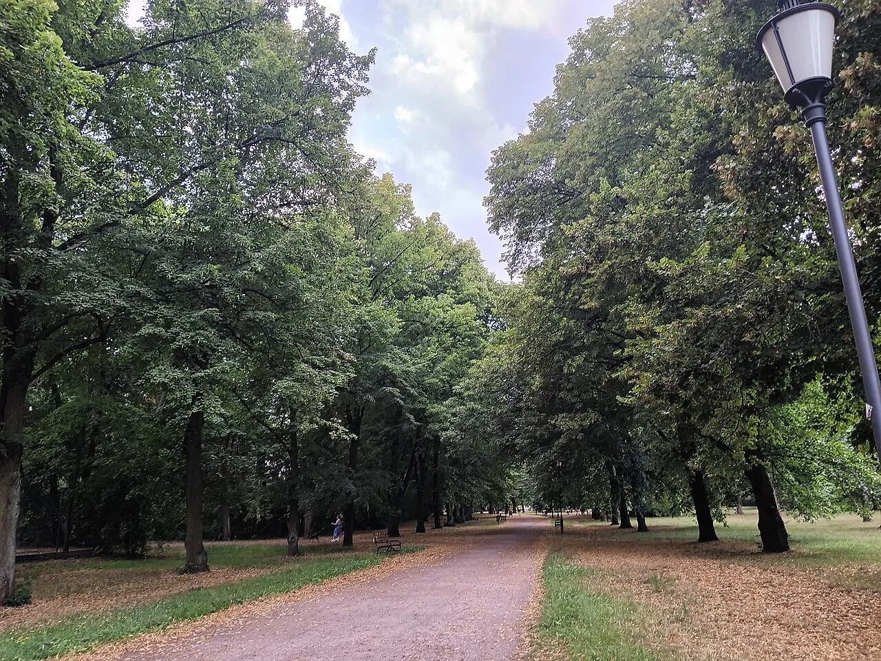 A tree-lined avenue in Poniatowski Park in Łódź.