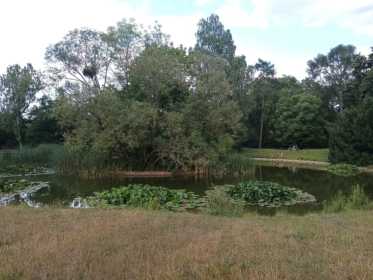 A pond in Poniatowski Park in Łódź.