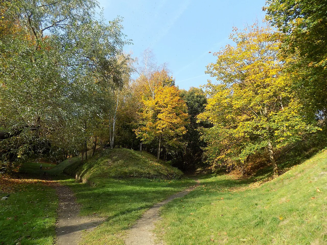 An autumn path through Citadel Park in Poznań.