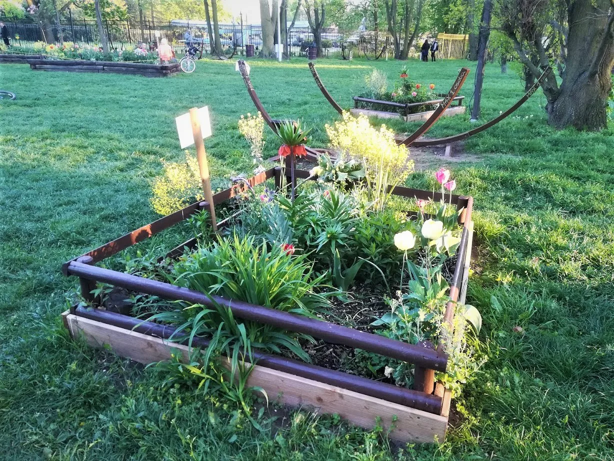 Spring flowerbeds in Citadel Park, Poznań.
