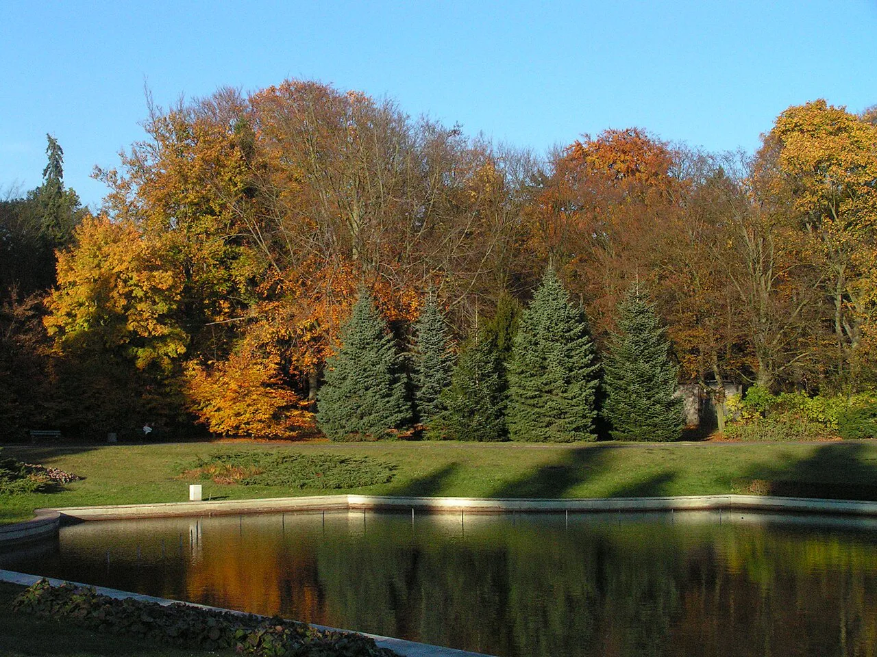 Autumn colours by a pond in the Central Cemetery, Szczecin.