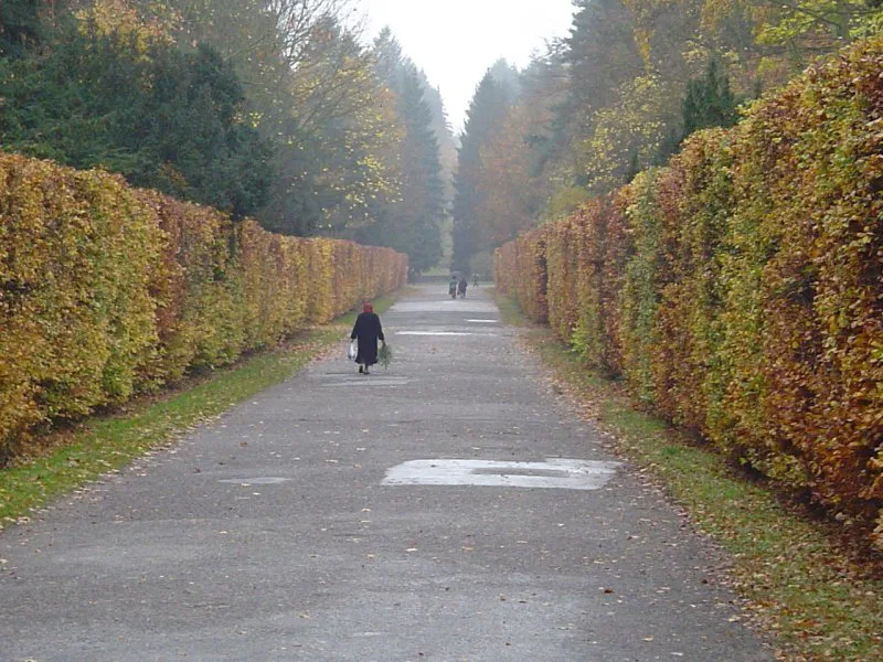 The main avenue of the Central Cemetery in Szczecin.