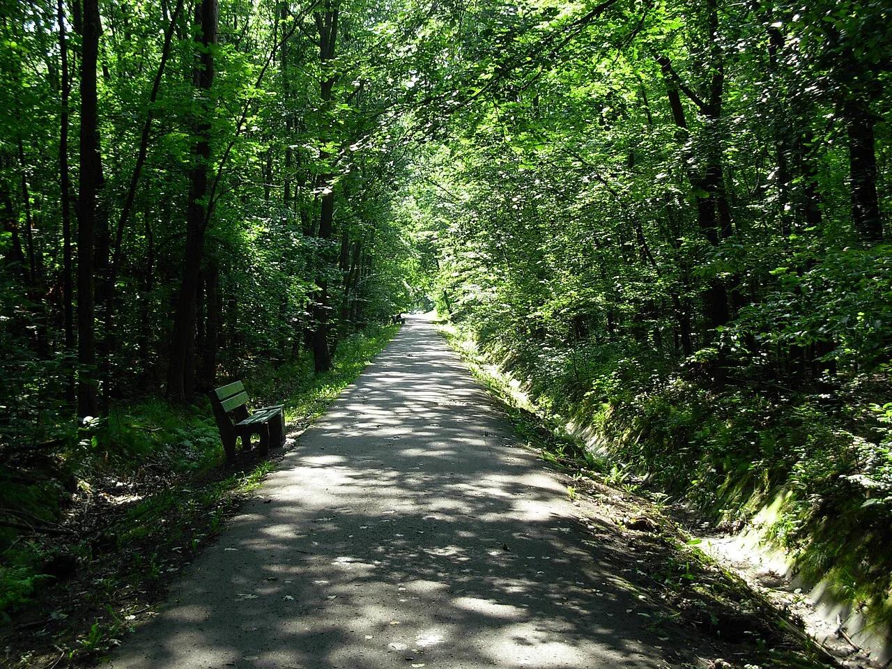 A forest road from Brynów towards the Valley of Three Ponds in Katowice.