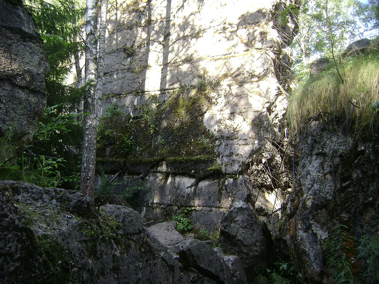 Overgrown bunker ruins at the Wolf's Lair in Gierłoż.