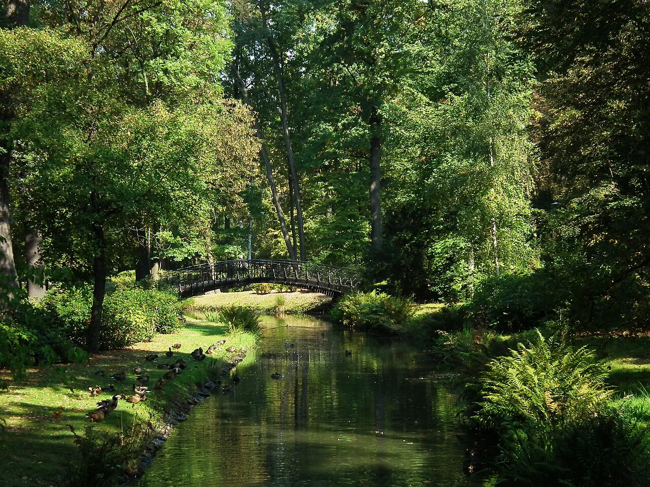 A shaded stream in Szczytnicki Park, Wrocław.