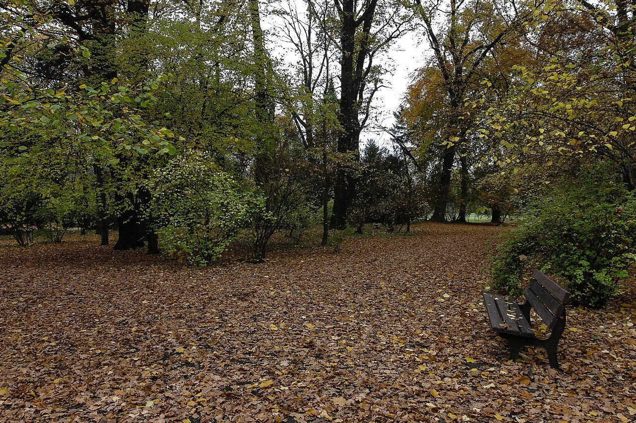 Autumn leaves and a bench in Szczytnicki Park, Wrocław.