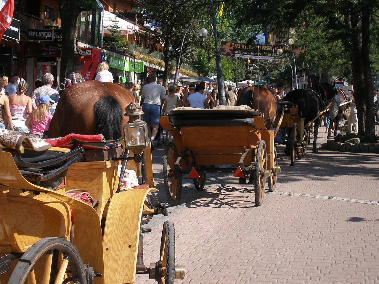 Horse-drawn carriages among the crowds on Krupówki in Zakopane.